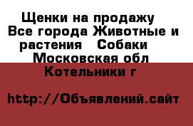 Щенки на продажу - Все города Животные и растения » Собаки   . Московская обл.,Котельники г.